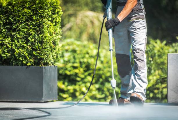 Best Soft Washing  in Bear Valley Springs, CA